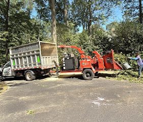 Danbury Tree Pros