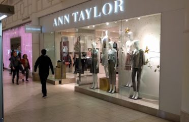 Ann Taylor