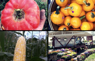 Gilbert Farm LLC