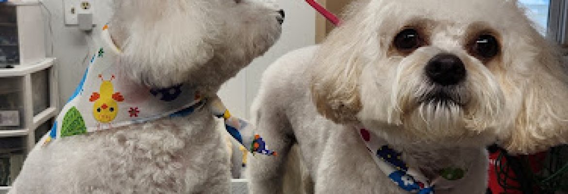 Merryall Kennels