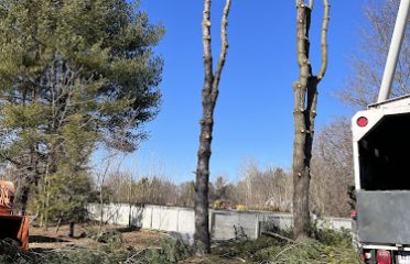 C QUITO LANDSCAPING LLC
