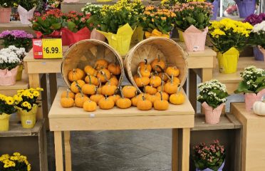 Stop & Shop