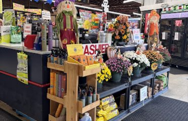 Treeland Garden Center & Nursery