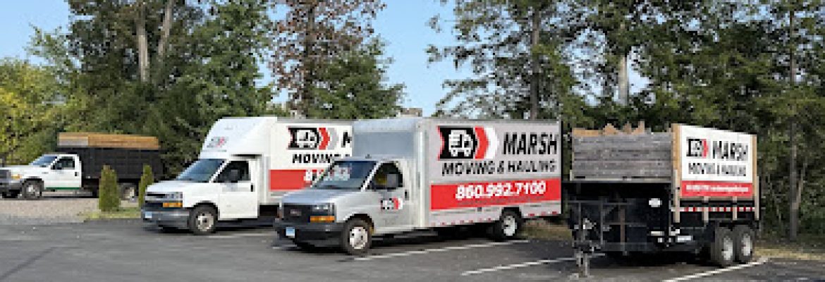 Marsh Moving