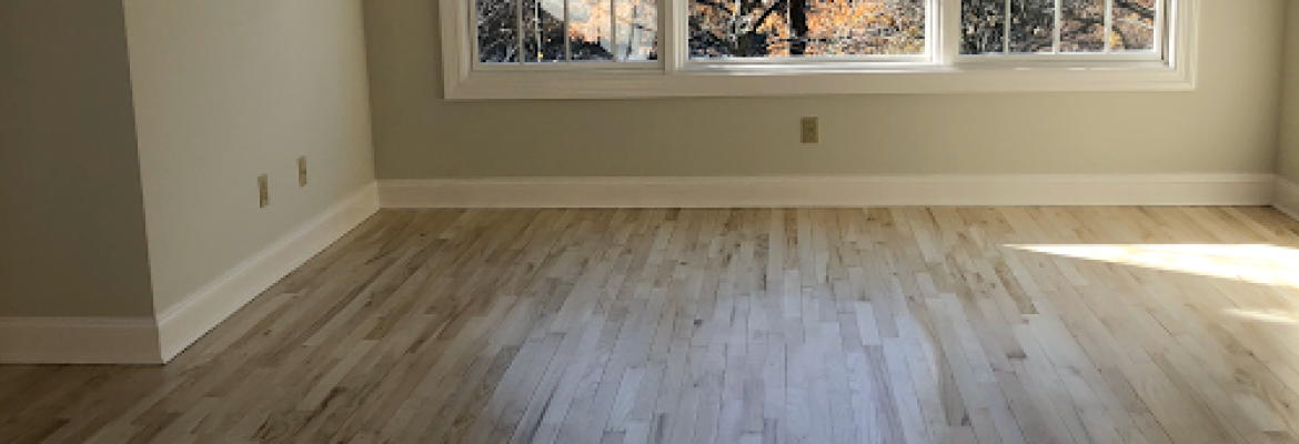 XYZ Cleaning Services of Stamford Ct