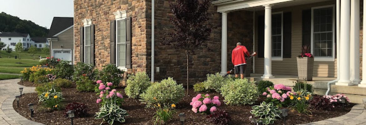 Picture Perfect Landscape and Christmas Decor