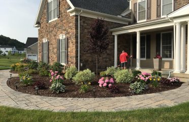 Picture Perfect Landscape and Christmas Decor
