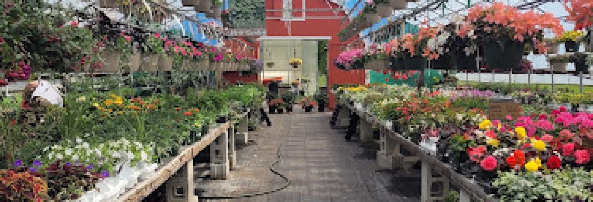 Scotts’ Farm & Garden