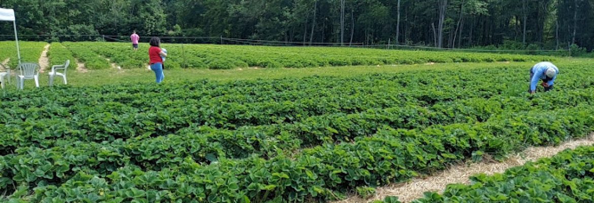 Deeply Rooted Farms, LLC