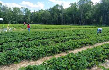 Deeply Rooted Farms, LLC