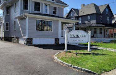 Guiltec Development