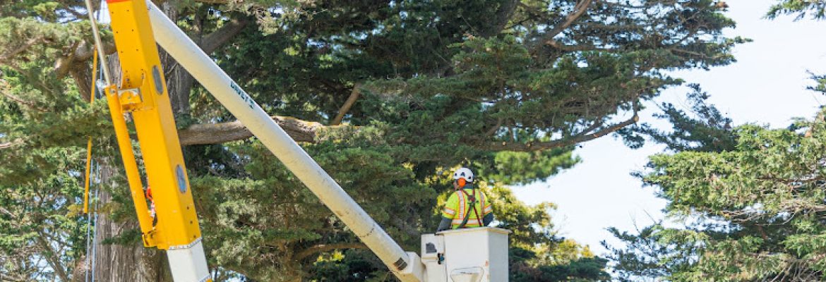 The Davey Tree Expert Company