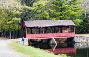 Stratton Brook State Park