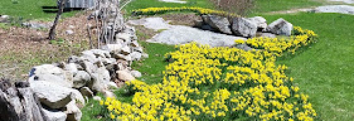 Denison Pequotsepos Nature Center