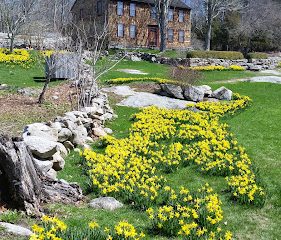 Denison Pequotsepos Nature Center