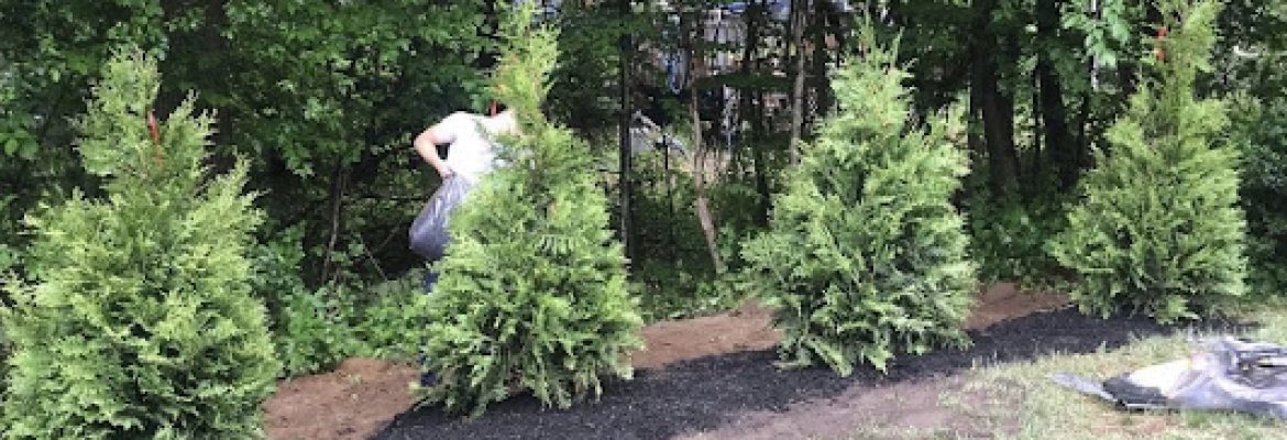 Russ’ Landscape Service LLC