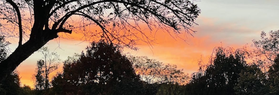 Strawberry Hills Open Space