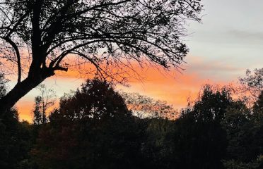 Strawberry Hills Open Space