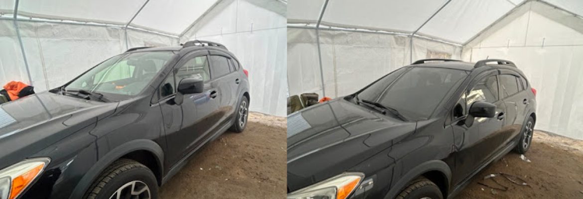MetaShade Window Tinting