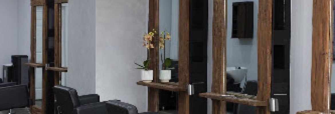 Ilya Rafael Salon