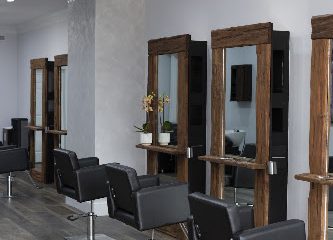 Ilya Rafael Salon