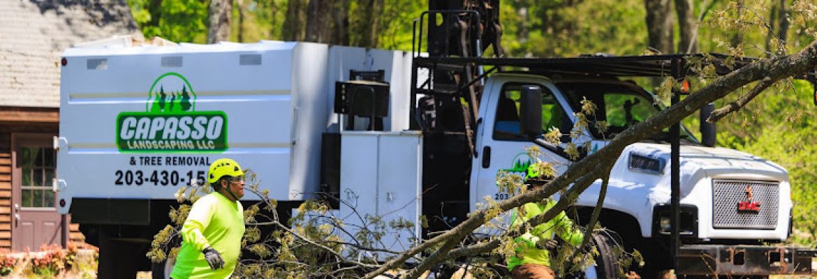 Capasso Landscaping & Tree Removal