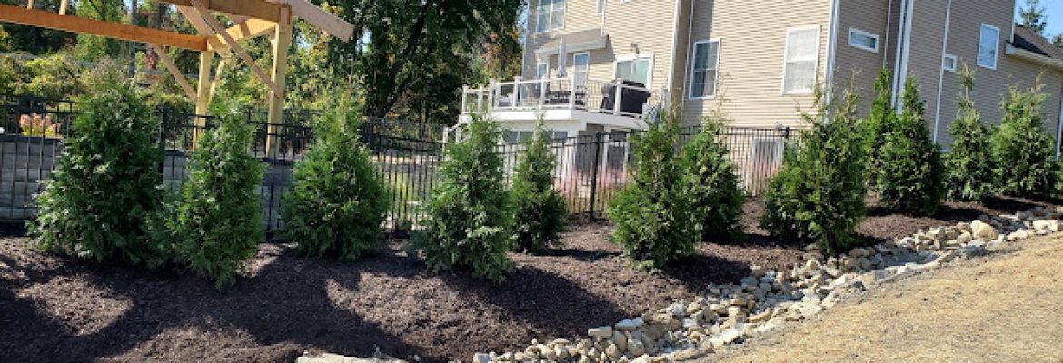 Exterior Services LLC
