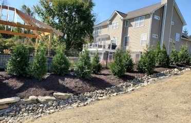 Exterior Services LLC
