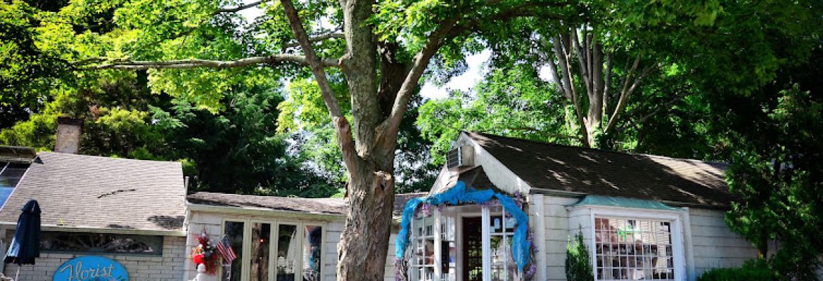 Guilford White House Florist