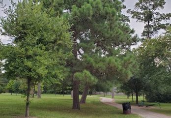 Nob Hill Park