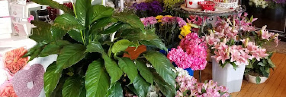 Agnew Florist