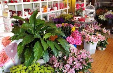 Agnew Florist