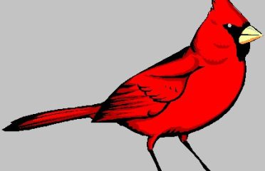 RbRE, LLC Redbird Real Estate