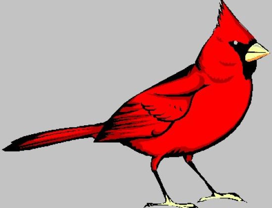 RbRE, LLC Redbird Real Estate