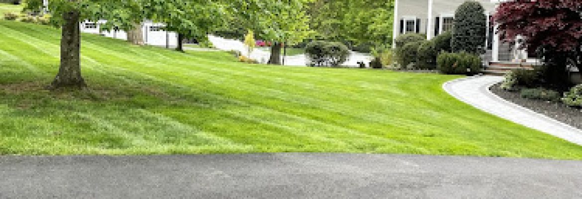 C & E Landscaping LLC