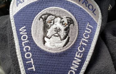 Connecticut Uniform