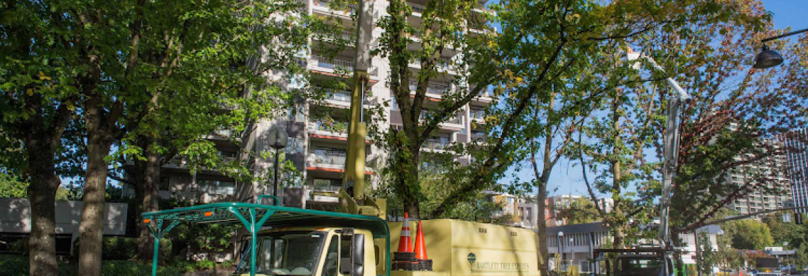 Bartlett Tree Experts