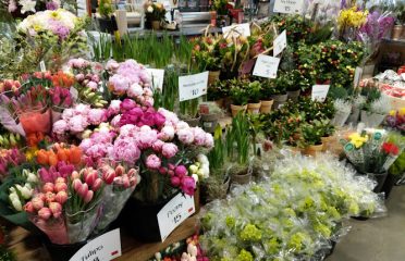 Whole Foods Market