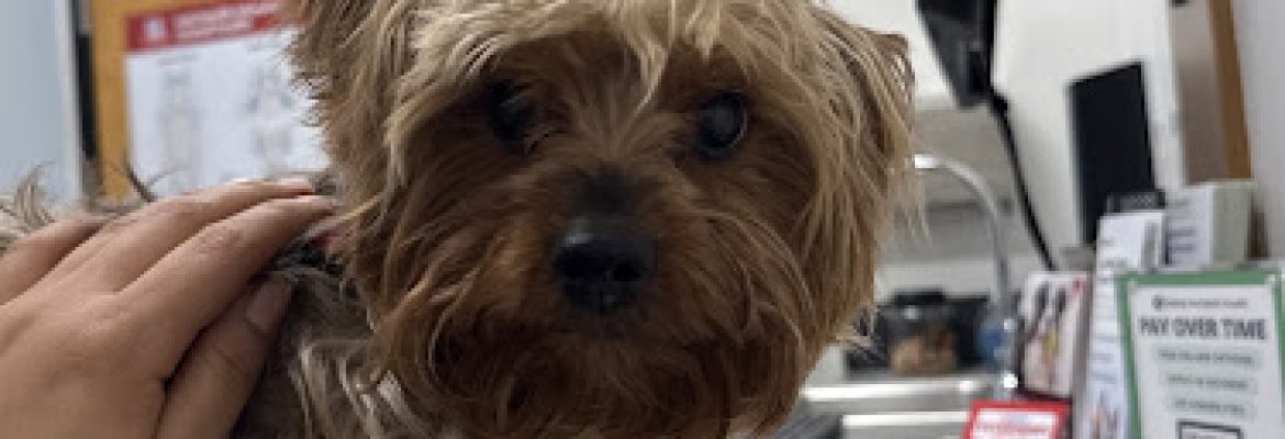 PetSmart Veterinary Services – Norwalk