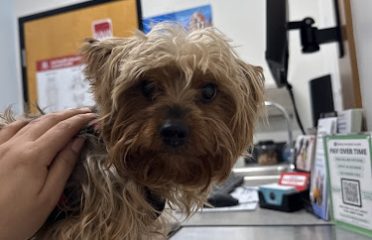 PetSmart Veterinary Services – Norwalk