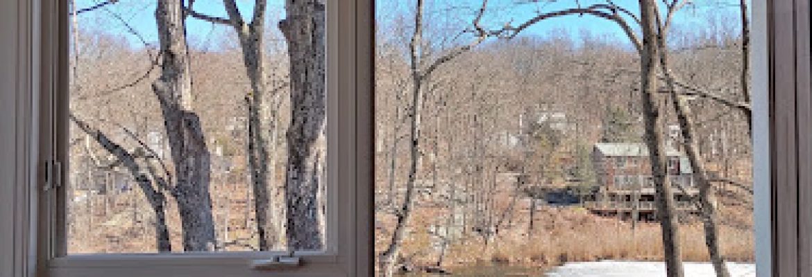 Shine Window Cleaning llc