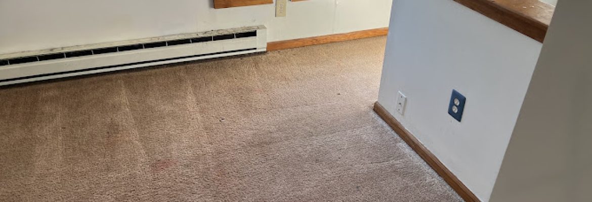 Tripoli Pro Clean Services