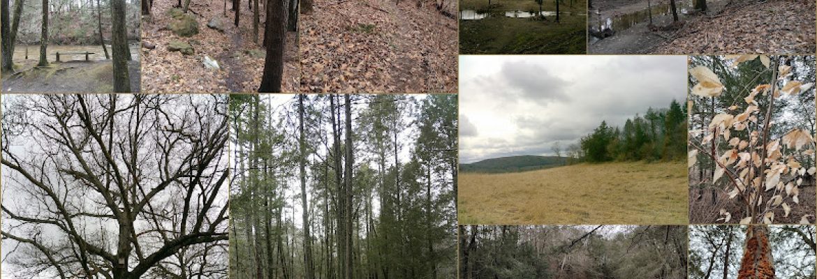 Platt Farm Preserve