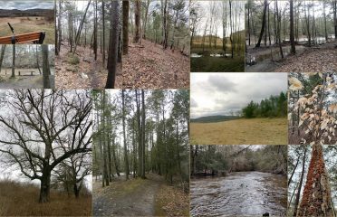 Platt Farm Preserve