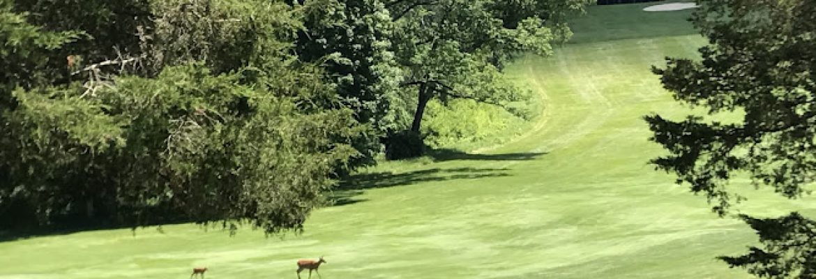 Sharon Country Club