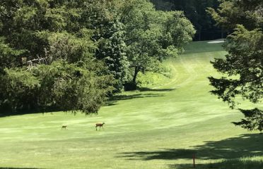 Sharon Country Club