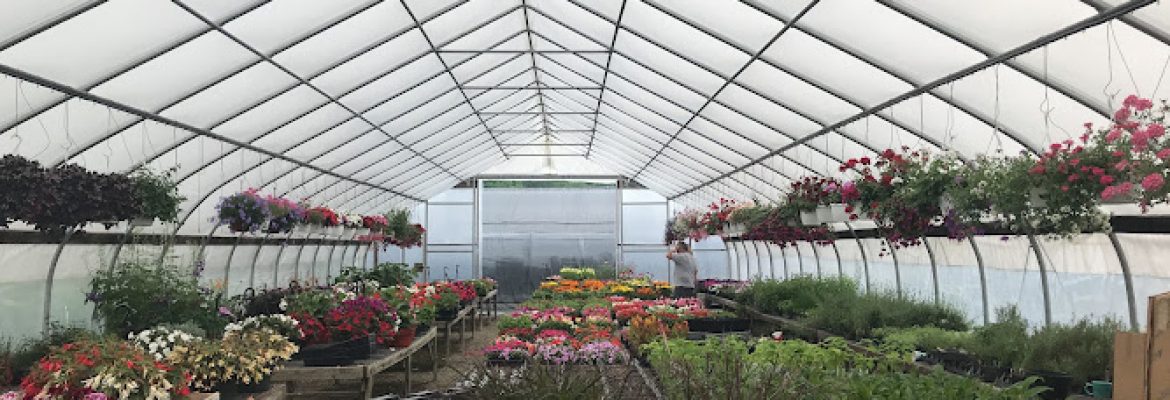 Kristen’s Country Greenhouses