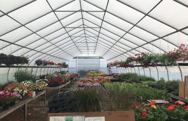 Kristen’s Country Greenhouses