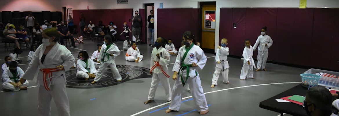 Institute of Martial Arts