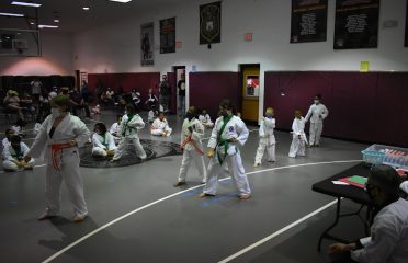 Institute of Martial Arts
